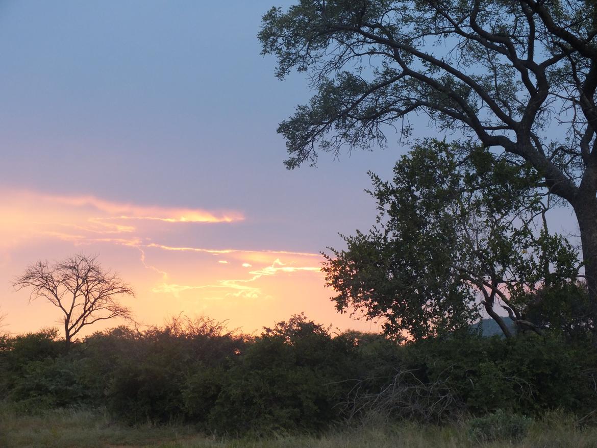 Sydafrika  billede 13