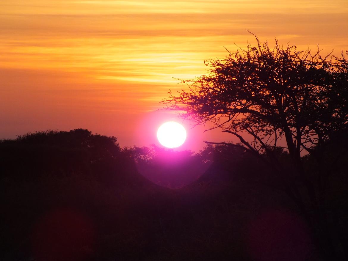 Sydafrika  - Solnedgang <3 billede 14