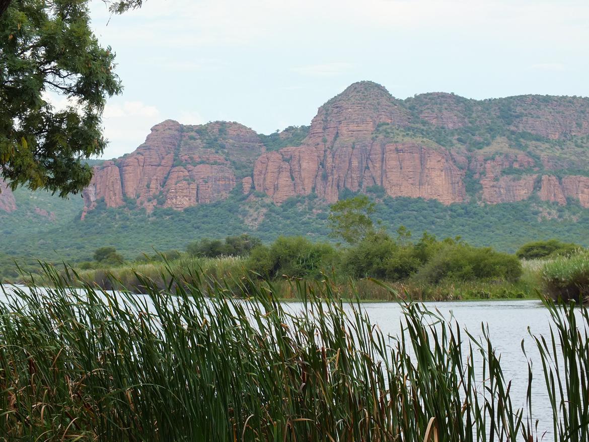 Sydafrika  billede 19