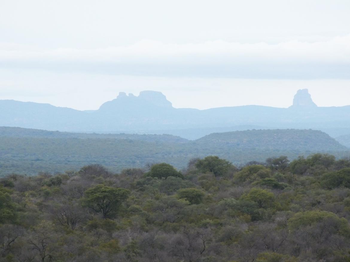 Sydafrika  - Middag på "Pride Rock"  billede 25