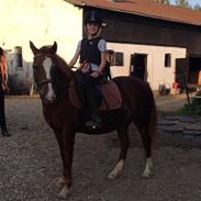 Bonnie mus<3<<3<3<3<3