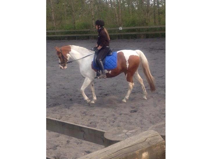 {{currentPhoto.altText}} billede {{currentPhoto.number}}