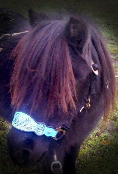 læder arbejde DIY billede 17