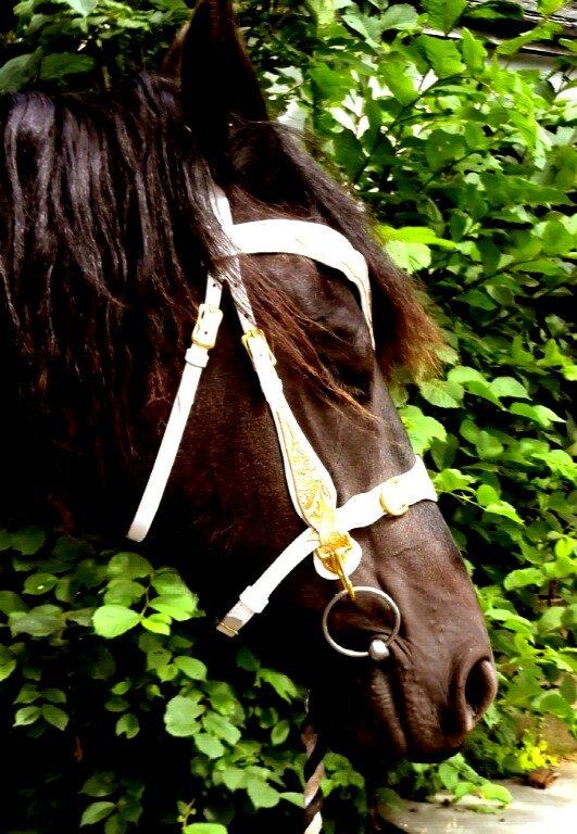 læder arbejde DIY billede 16