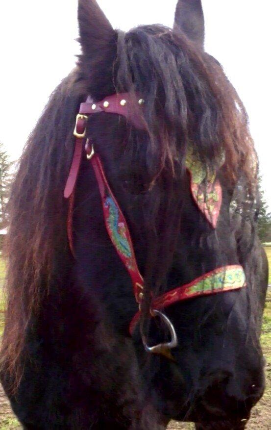 læder arbejde DIY billede 12