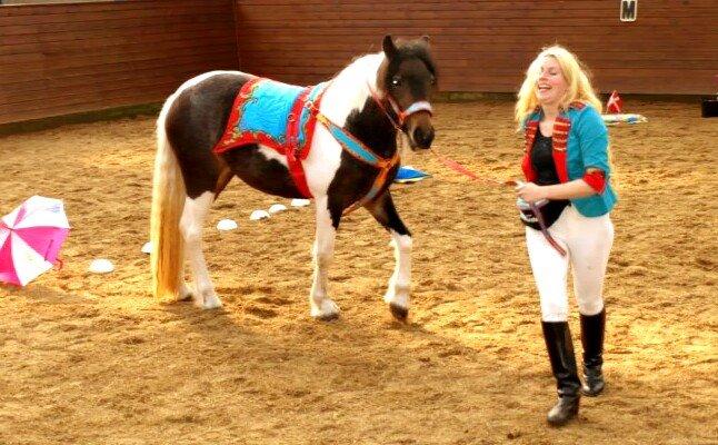 læder arbejde DIY billede 8