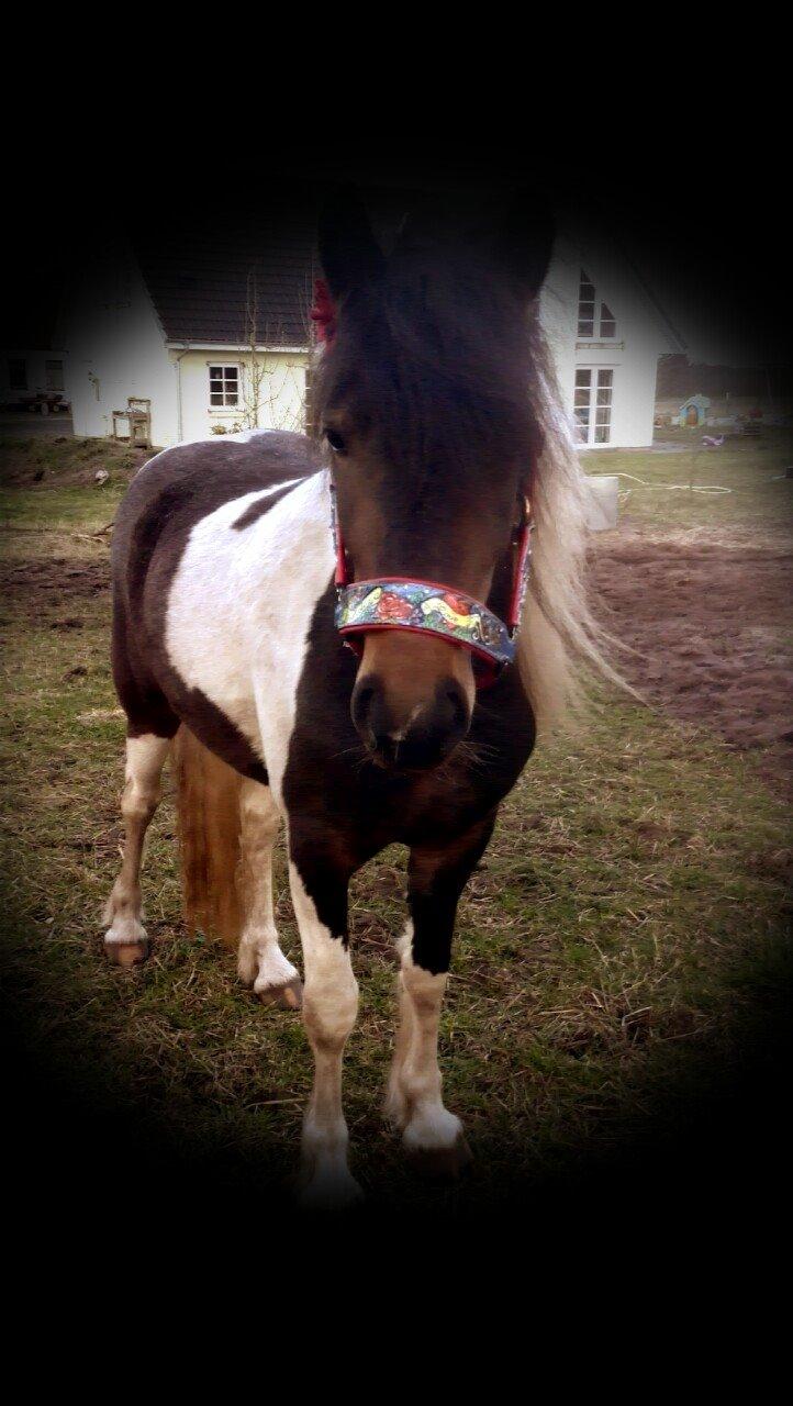 læder arbejde DIY billede 5