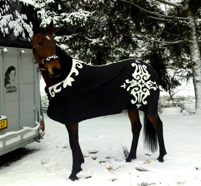 læder arbejde DIY billede 3