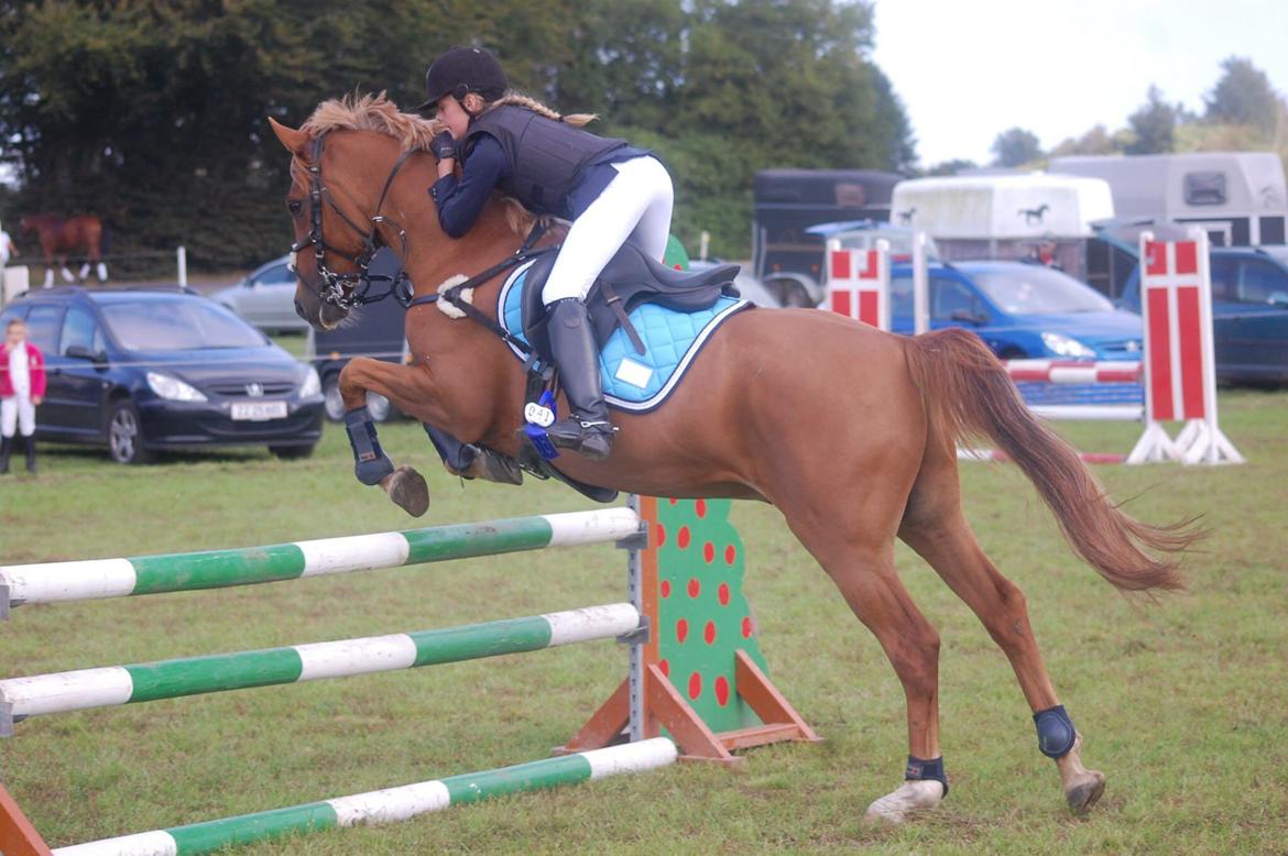 Stævne i Bjergby rideklub d. 13-14/9-14 billede 36