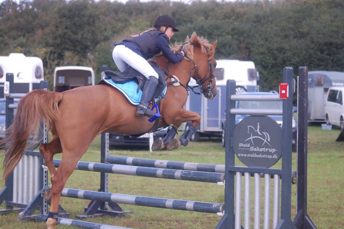 Stævne i Bjergby rideklub d. 13-14/9-14 billede 35