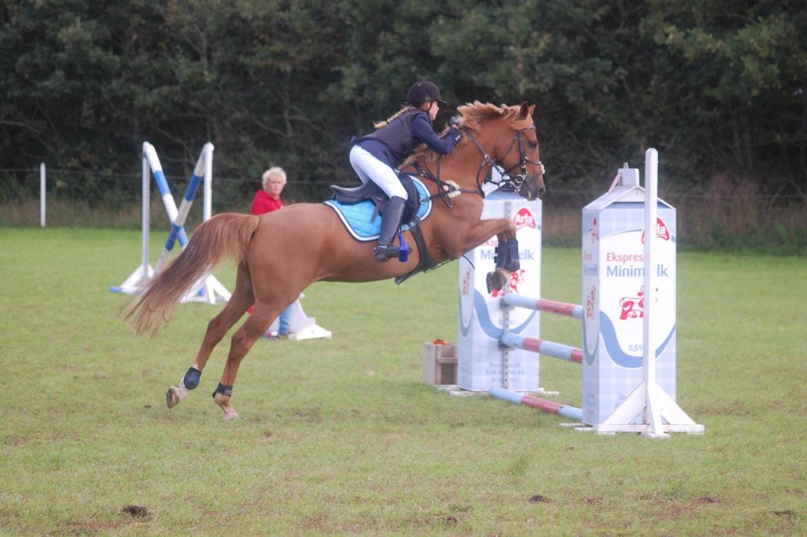 Stævne i Bjergby rideklub d. 13-14/9-14 billede 33
