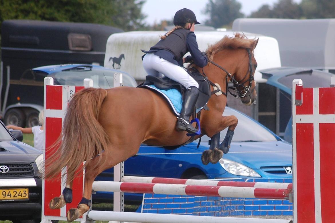 Stævne i Bjergby rideklub d. 13-14/9-14 billede 32