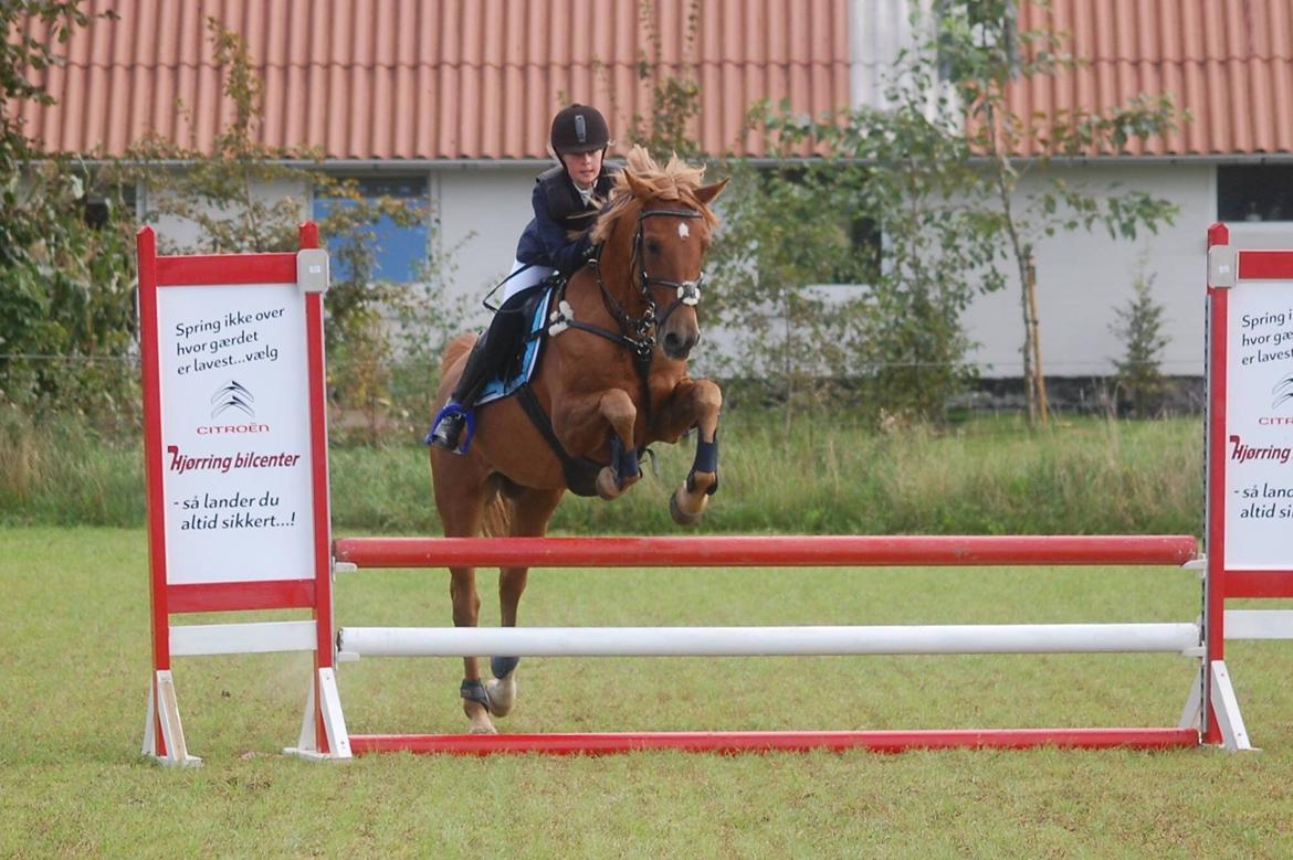 Stævne i Bjergby rideklub d. 13-14/9-14 billede 31