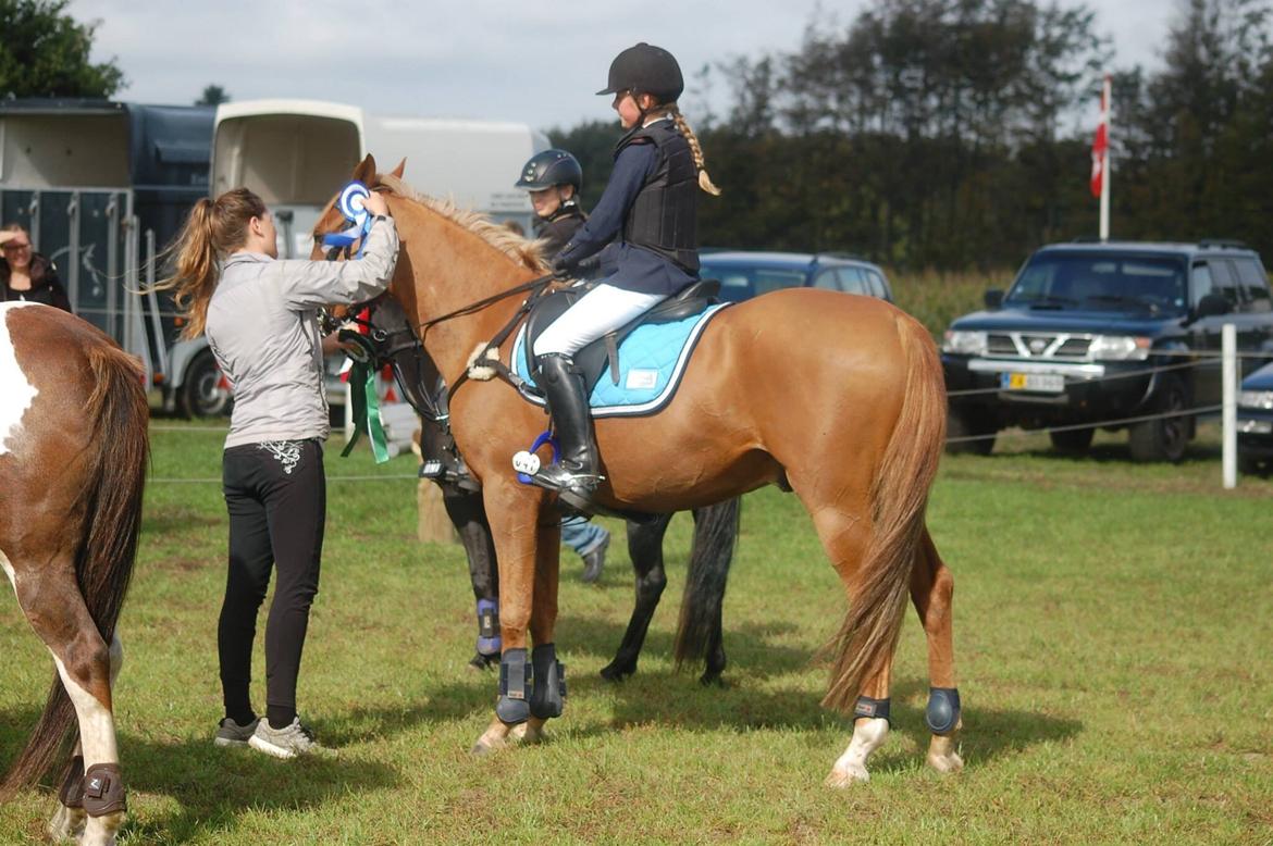 Stævne i Bjergby rideklub d. 13-14/9-14 billede 29