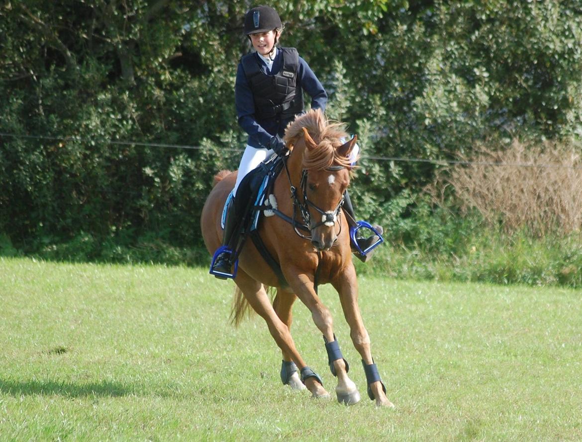 Stævne i Bjergby rideklub d. 13-14/9-14 billede 28