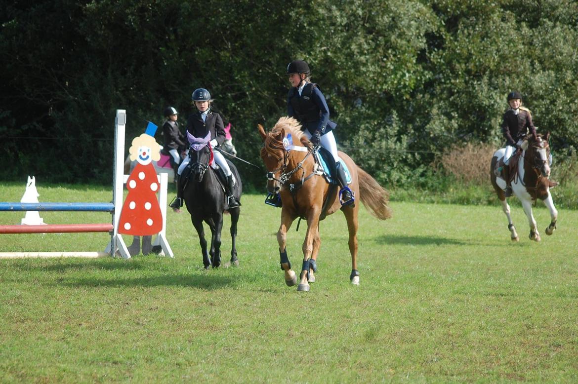 Stævne i Bjergby rideklub d. 13-14/9-14 billede 27