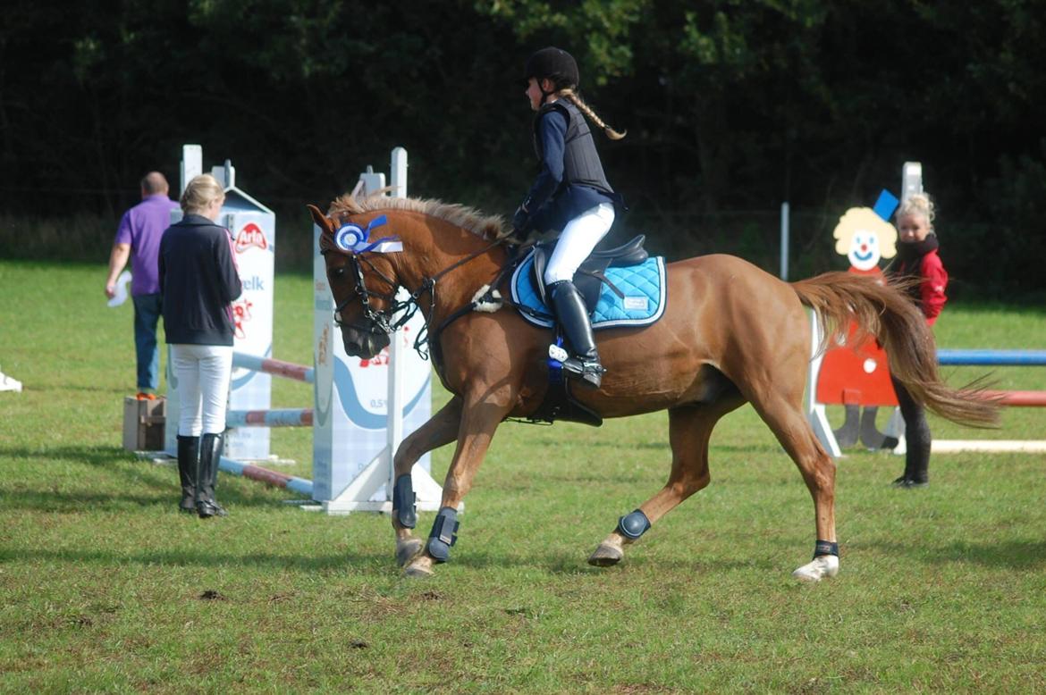 Stævne i Bjergby rideklub d. 13-14/9-14 billede 26