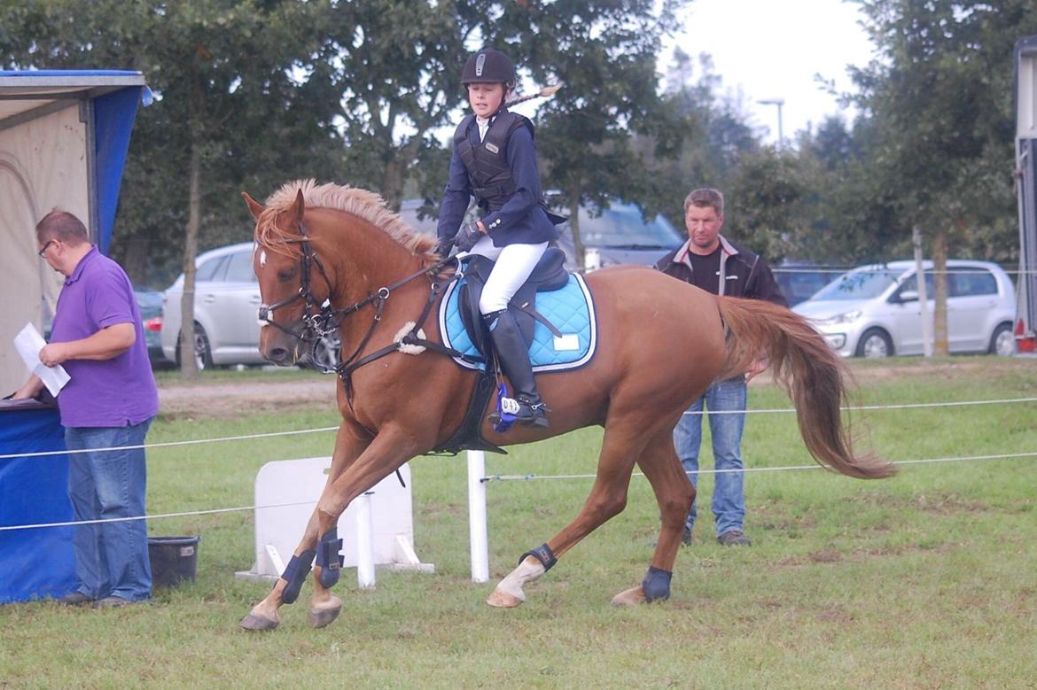 Stævne i Bjergby rideklub d. 13-14/9-14 billede 25