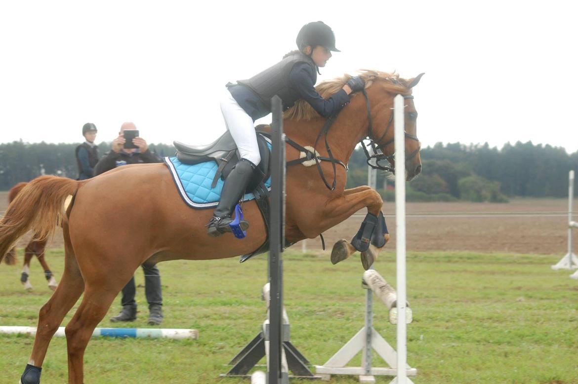 Stævne i Bjergby rideklub d. 13-14/9-14 billede 24