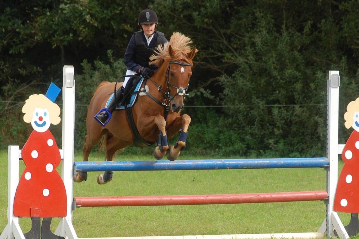 Stævne i Bjergby rideklub d. 13-14/9-14 billede 23