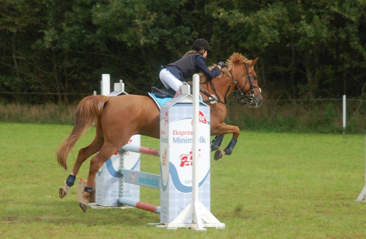 Stævne i Bjergby rideklub d. 13-14/9-14 billede 22