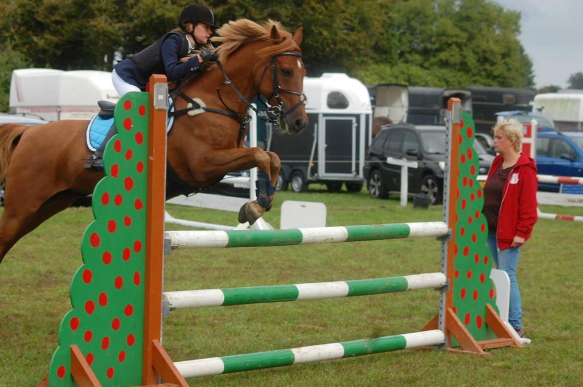 Stævne i Bjergby rideklub d. 13-14/9-14 billede 21