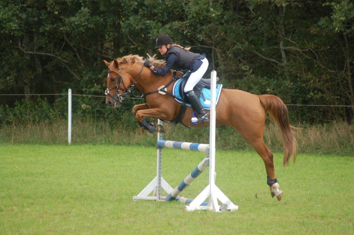 Stævne i Bjergby rideklub d. 13-14/9-14 billede 20