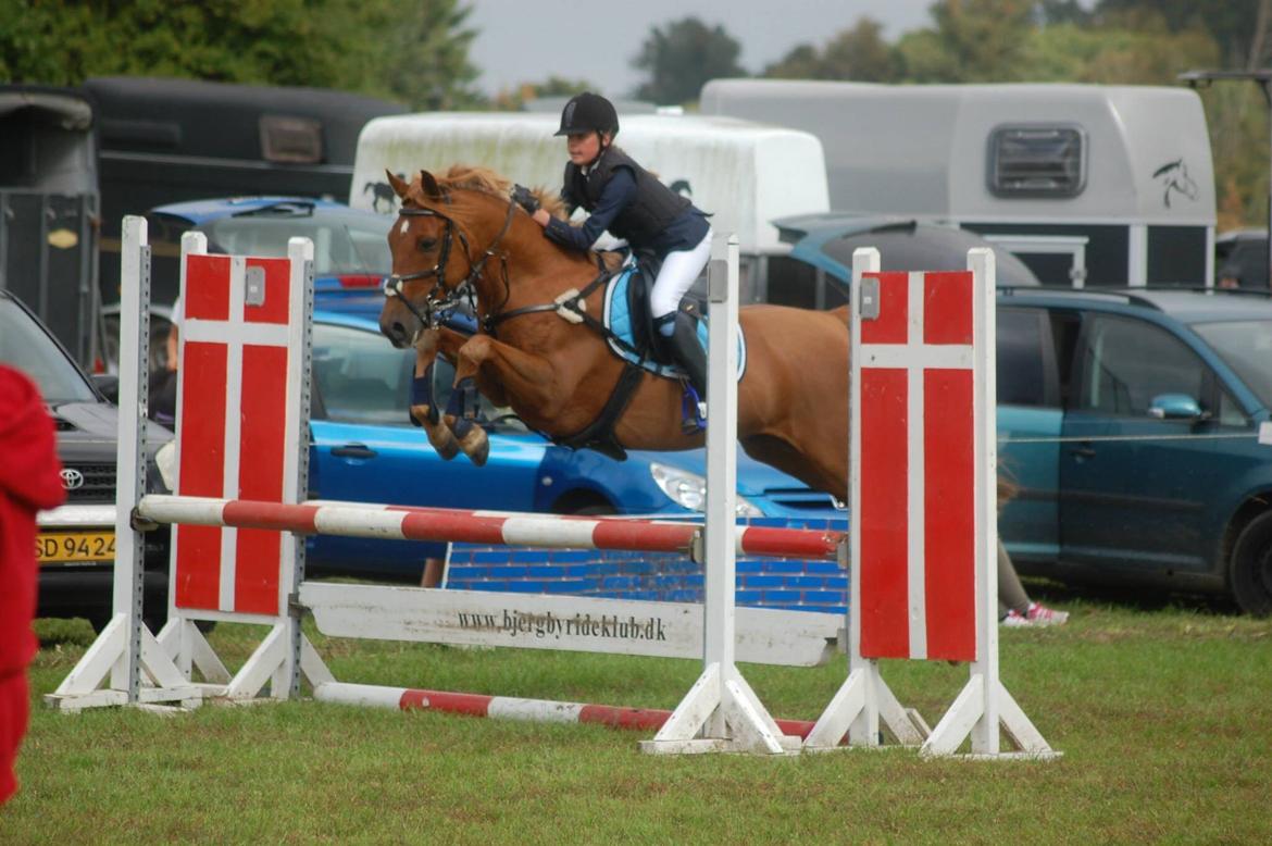 Stævne i Bjergby rideklub d. 13-14/9-14 billede 19