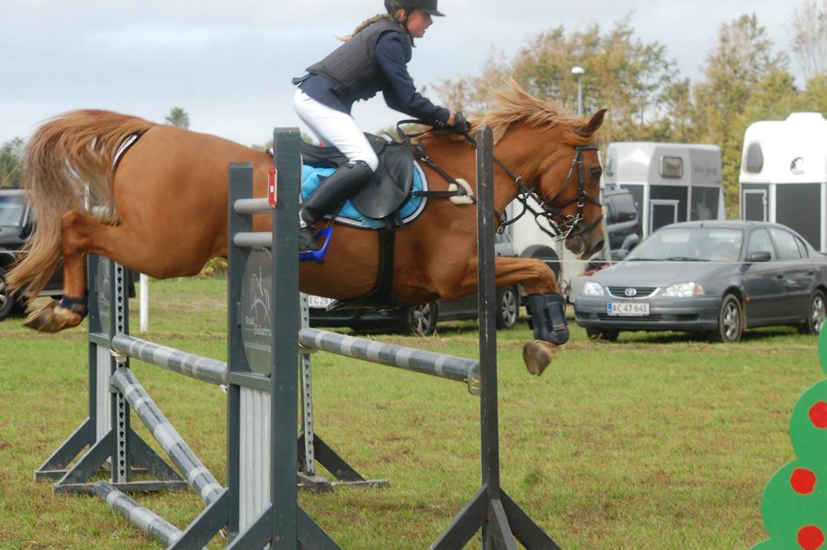 Stævne i Bjergby rideklub d. 13-14/9-14 billede 18