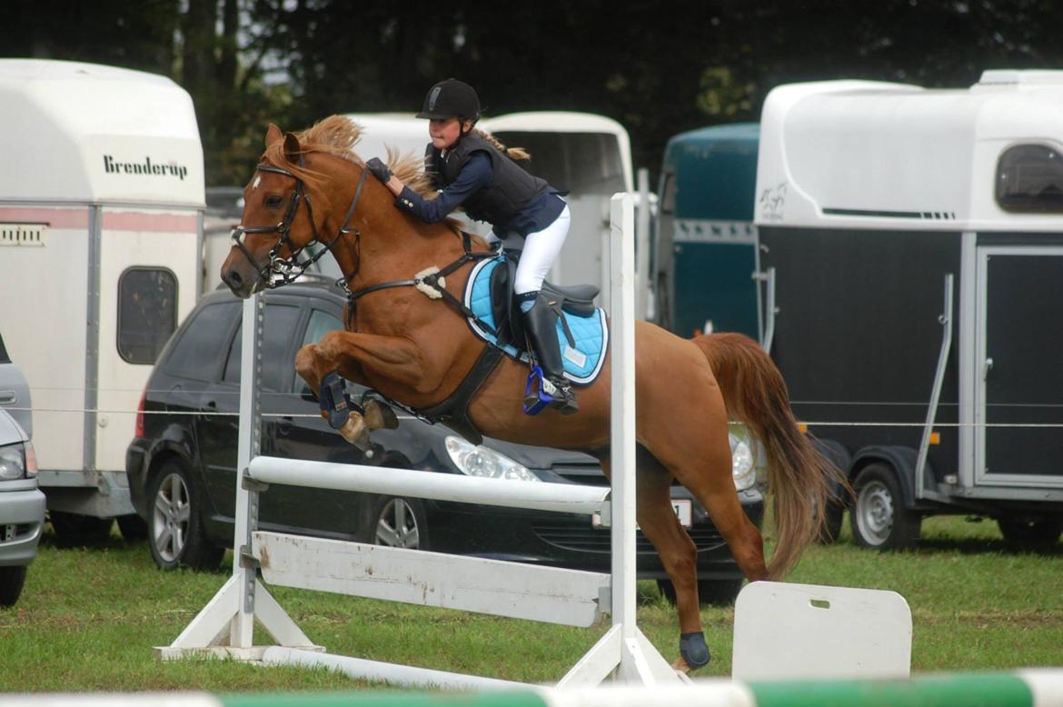 Stævne i Bjergby rideklub d. 13-14/9-14 billede 17