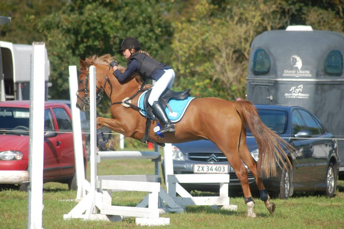 Stævne i Bjergby rideklub d. 13-14/9-14 billede 14
