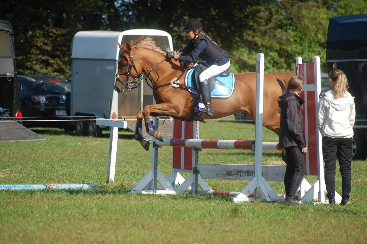 Stævne i Bjergby rideklub d. 13-14/9-14 billede 13