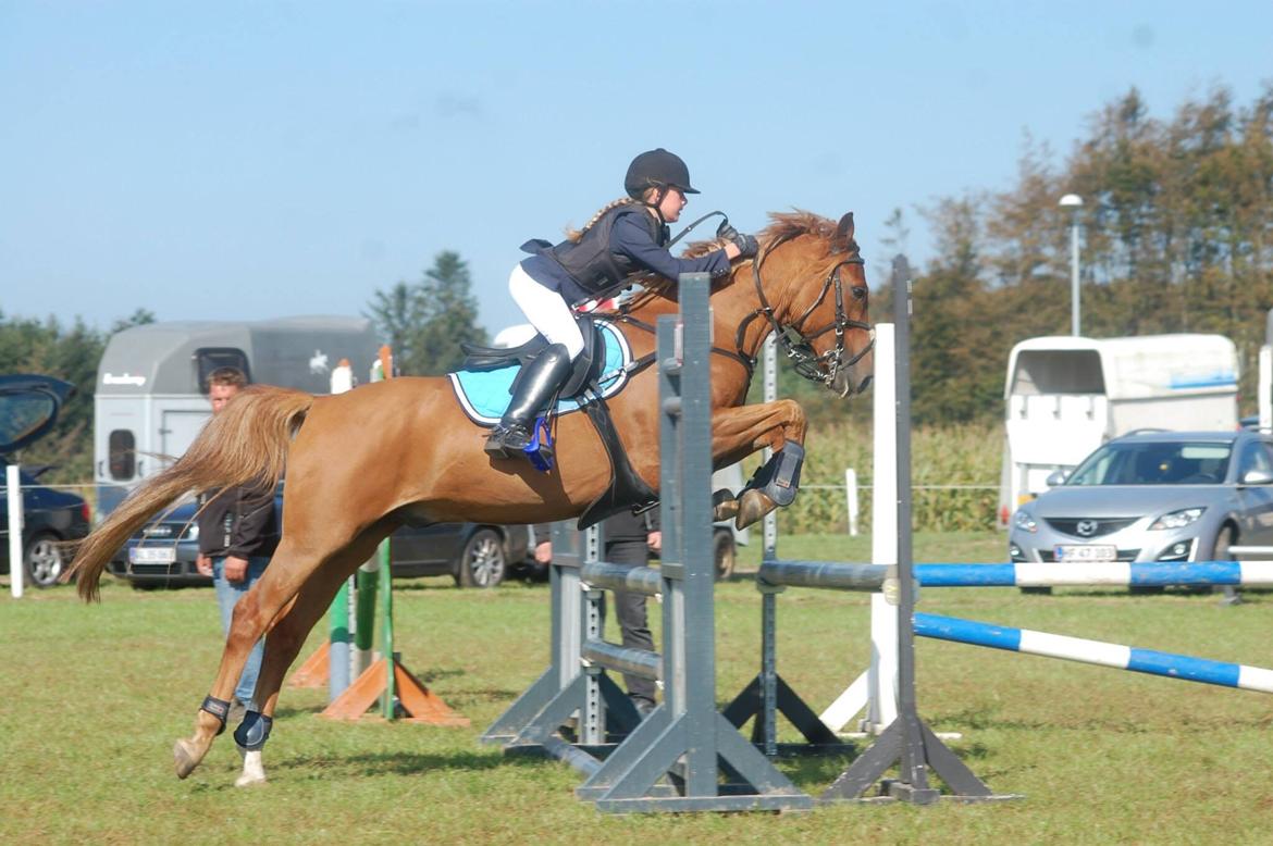 Stævne i Bjergby rideklub d. 13-14/9-14 billede 12