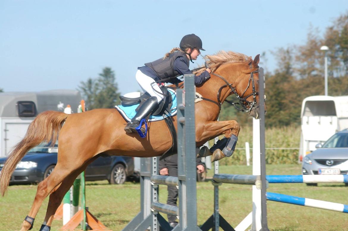 Stævne i Bjergby rideklub d. 13-14/9-14 billede 11