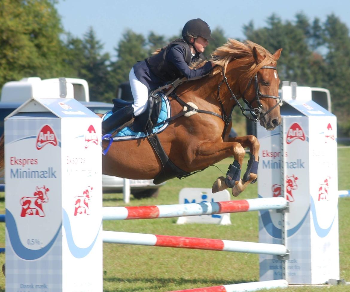 Stævne i Bjergby rideklub d. 13-14/9-14 billede 10
