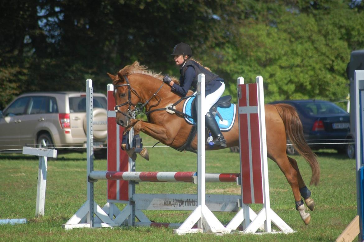 Stævne i Bjergby rideklub d. 13-14/9-14 billede 9