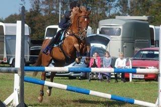 Stævne i Bjergby rideklub d. 13-14/9-14 billede 8