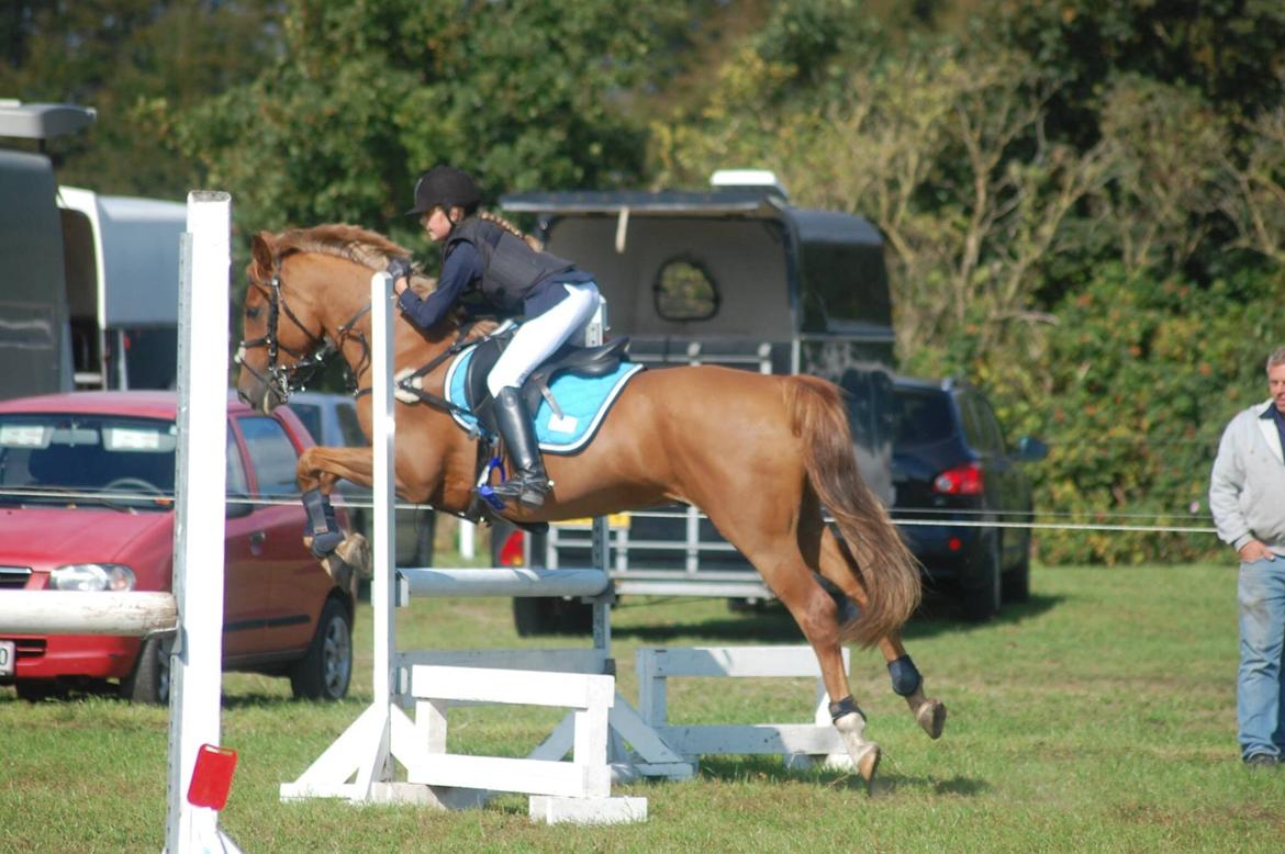 Stævne i Bjergby rideklub d. 13-14/9-14 billede 7