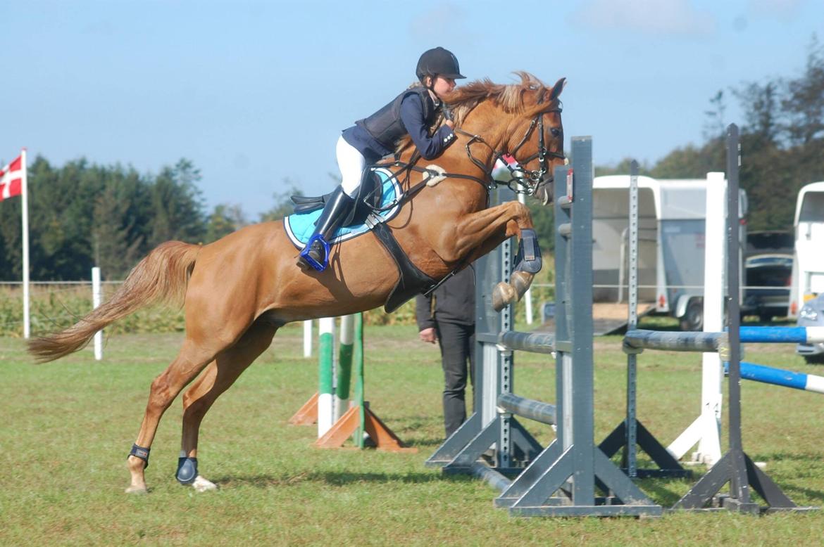 Stævne i Bjergby rideklub d. 13-14/9-14 billede 6