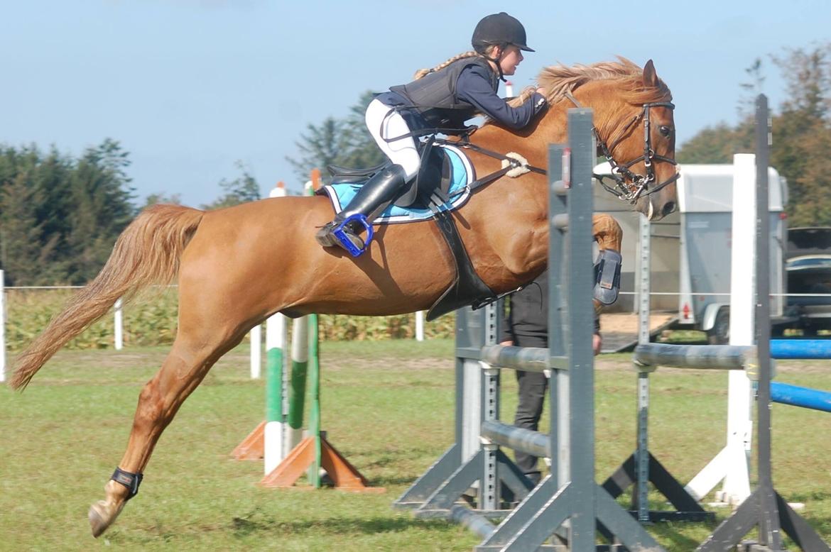Stævne i Bjergby rideklub d. 13-14/9-14 billede 5