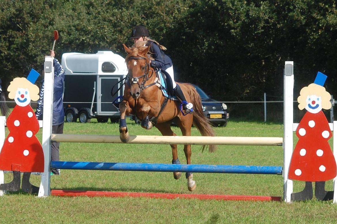 Stævne i Bjergby rideklub d. 13-14/9-14 billede 4