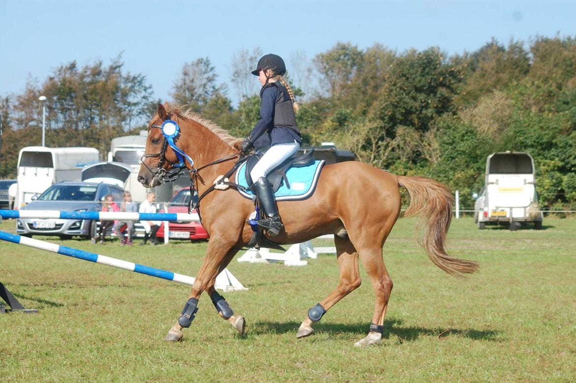 Stævne i Bjergby rideklub d. 13-14/9-14 billede 1