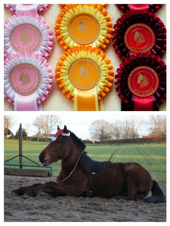 Alle mine rosetter ;) -  * Lyserød roset*Klasse: Bedste Julebillede, december 2014, 5. plads ud af 5 - En rigtig køn julehest. Nissehuen sidder kækt, og ørerne er fremme. At den rækker tunge er også en rigtig sød ekstra detalje! Baggrunden er noget rodet og trækker desværre lidt af opmærksomheden væk fra den søde hest.
 billede 3