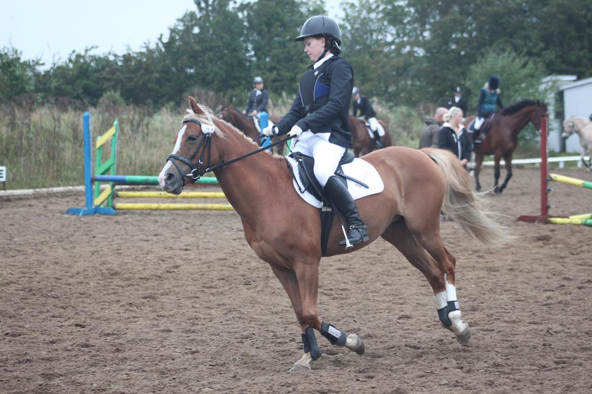 Vester Hassing rideklub d. 11/9 2010 billede 2