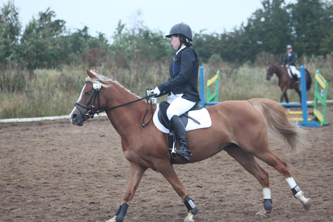 Vester Hassing rideklub d. 11/9 2010 billede 3