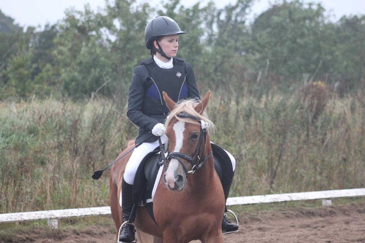 Vester Hassing rideklub d. 11/9 2010 billede 6