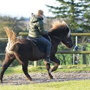 Isabel Photo - Billeder