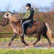 Isabel Photo - Billeder