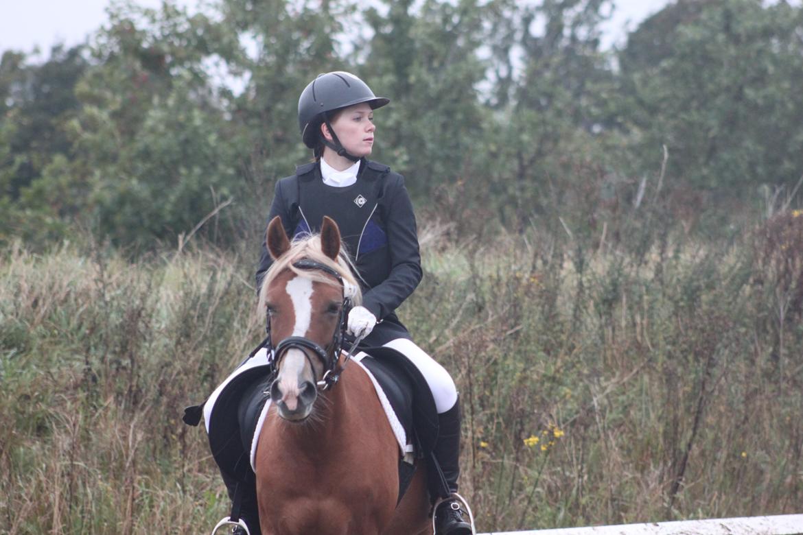 Vester Hassing rideklub d. 11/9 2010 billede 5