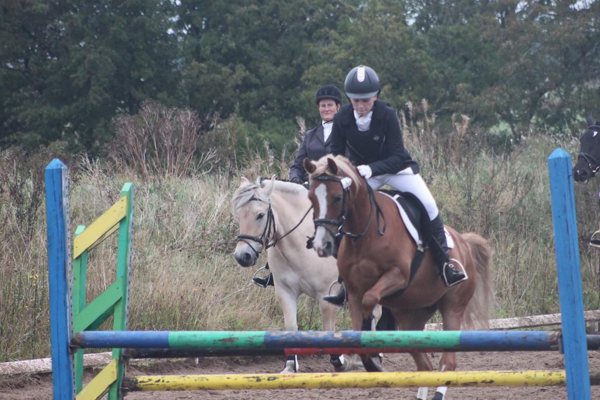 Vester Hassing rideklub d. 11/9 2010 billede 9